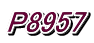 P8957